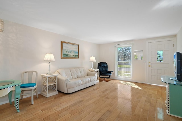 living room with light hardwood / wood-style flooring