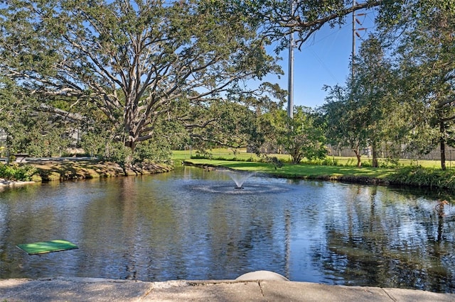 property view of water