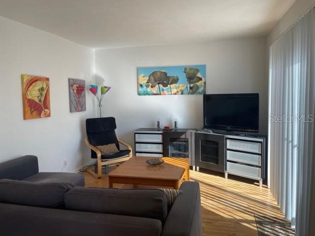 living room with hardwood / wood-style floors