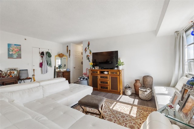 living room featuring a textured ceiling and hardwood / wood-style flooring