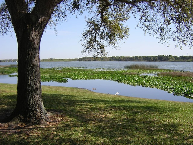 water view