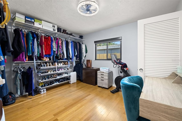 spacious closet with hardwood / wood-style flooring