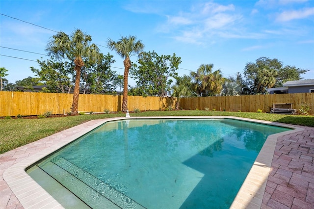 view of pool with a lawn and a patio area