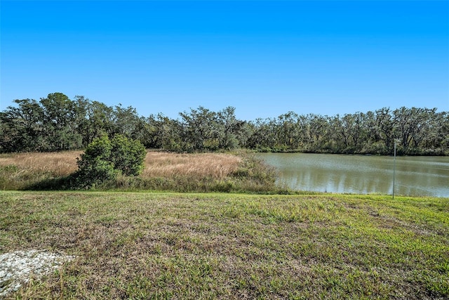 39822 Harmon Grove Ct, Zephyrhills, FL 33540 - photo 24