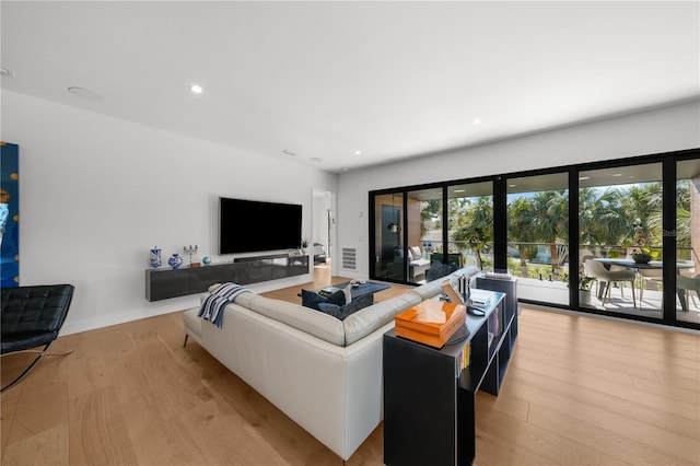 living room with light hardwood / wood-style floors