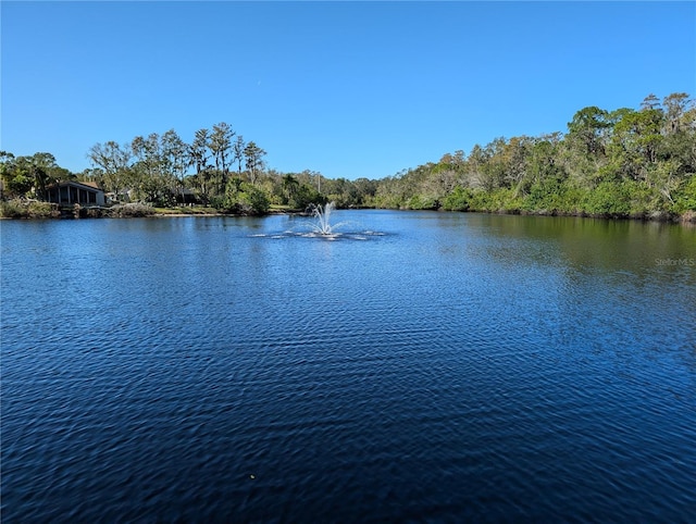 view of water feature