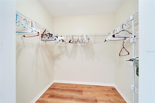 spacious closet with wood-type flooring