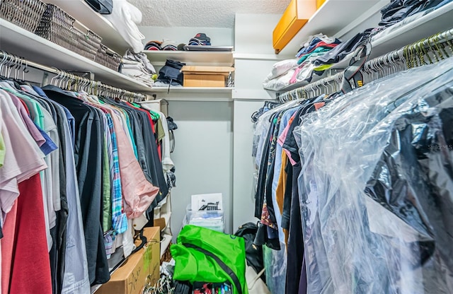 view of spacious closet