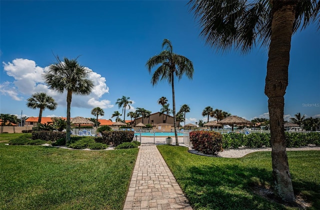 view of swimming pool with a yard