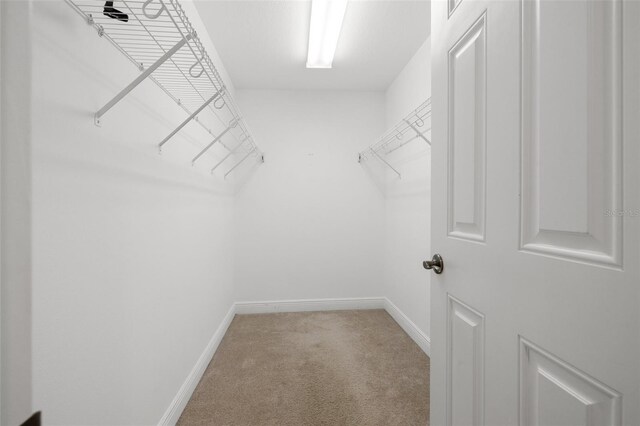 spacious closet featuring light carpet