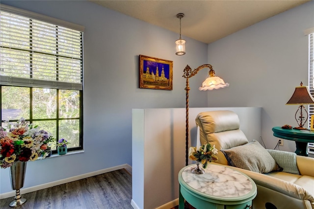 living area featuring dark wood-type flooring