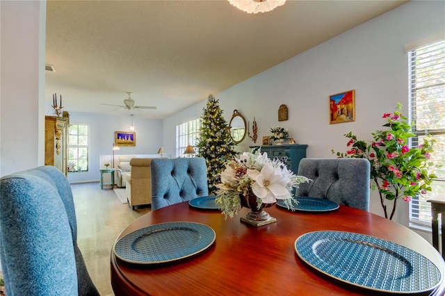 dining space with light wood-type flooring, plenty of natural light, and ceiling fan