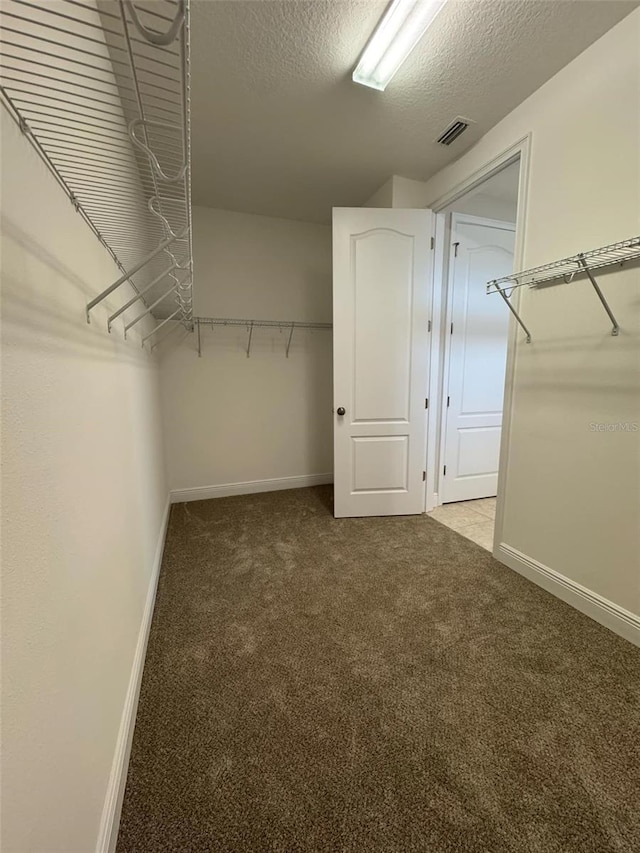 walk in closet featuring carpet flooring