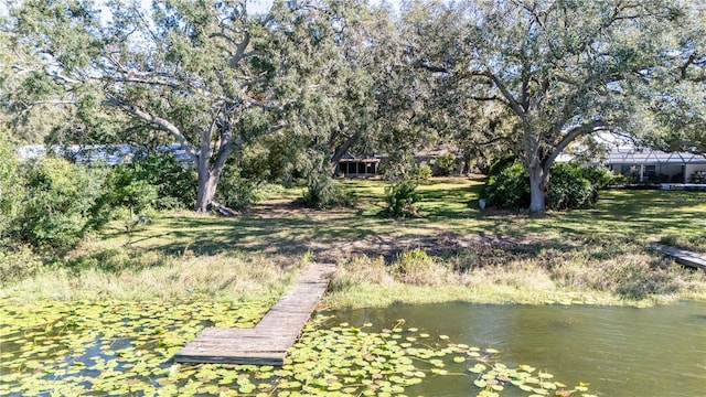 dock area with a water view