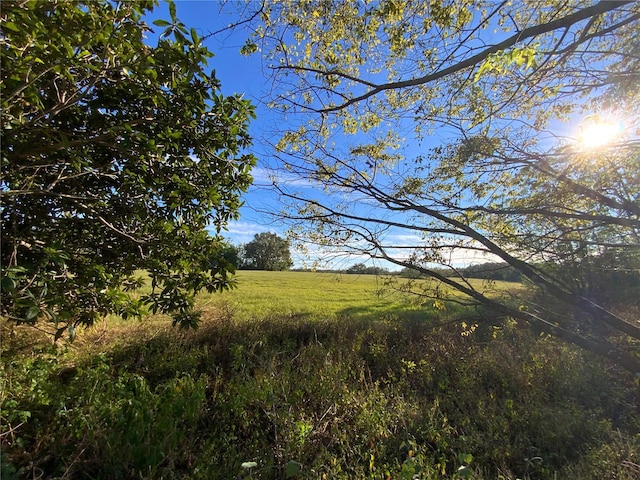 view of local wilderness with a rural view