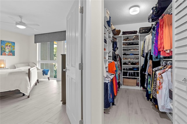 walk in closet featuring ceiling fan and light wood-type flooring