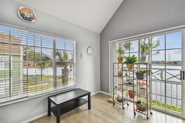 sitting room featuring a wealth of natural light, light hardwood / wood-style floors, and vaulted ceiling