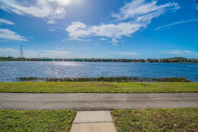 property view of water