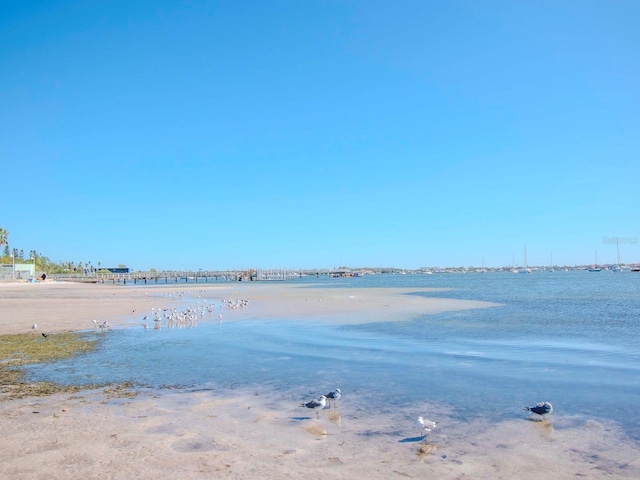 view of water feature with a beach view