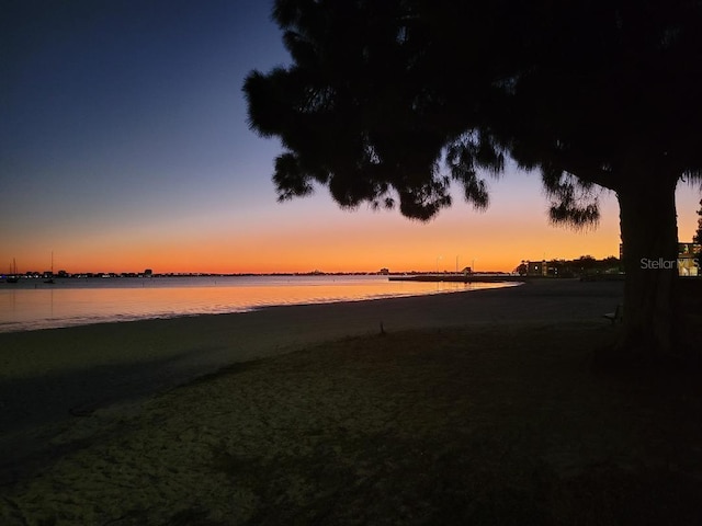 water view featuring a beach view