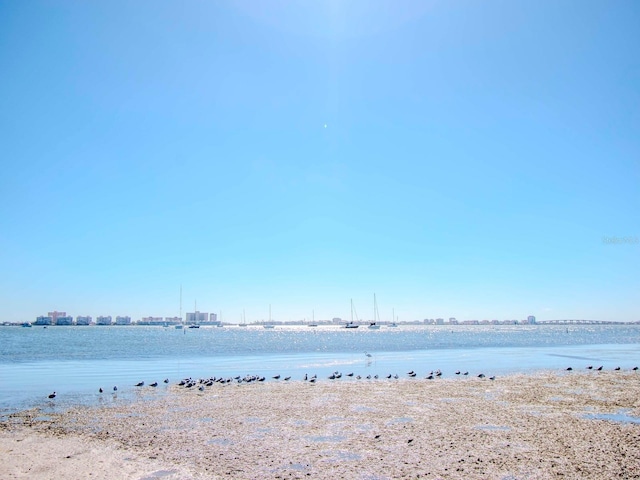 water view with a view of the beach