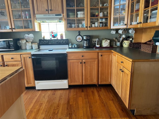 kitchen with electric range oven, dark wood-type flooring, glass insert cabinets, and under cabinet range hood