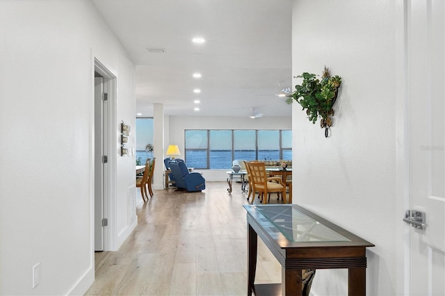 hall featuring light hardwood / wood-style floors