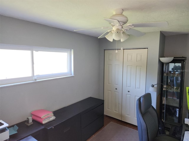 office space with ceiling fan and a textured ceiling