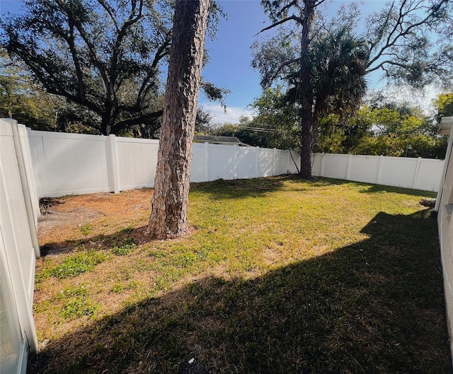 view of yard with a fenced backyard