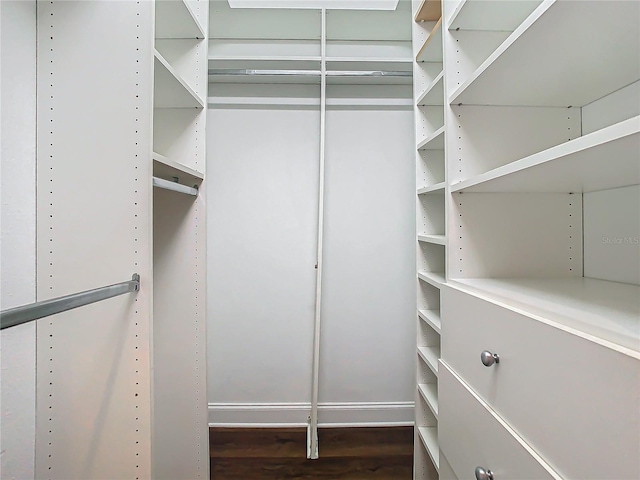 10130 Balcony St, New Port Richey, FL 34655 - walk in closet featuring wood finished floors