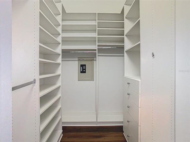 spacious closet featuring electric panel and dark hardwood / wood-style floors