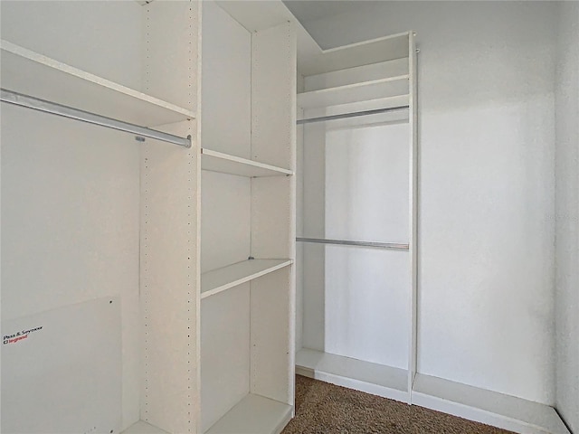 spacious closet featuring dark colored carpet