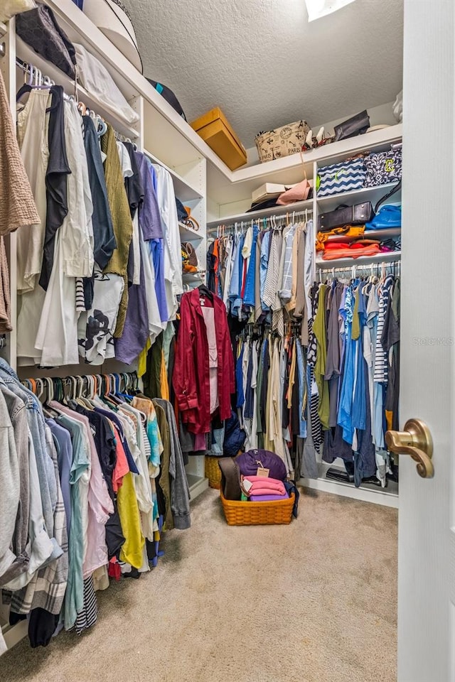 walk in closet with carpet