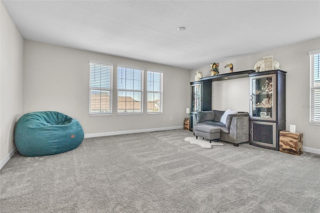 living area featuring carpet floors