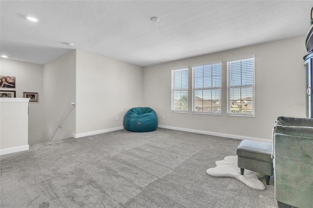 sitting room with carpet