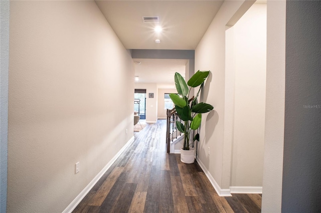 corridor featuring dark hardwood / wood-style floors