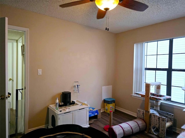 interior space with wood-type flooring, a textured ceiling, and ceiling fan