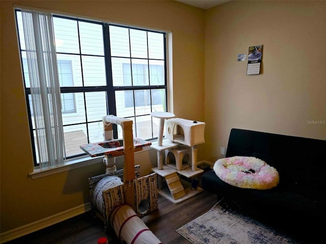 living area with dark wood-type flooring