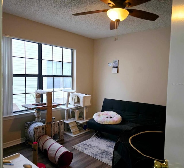 living area featuring a textured ceiling, plenty of natural light, and dark hardwood / wood-style floors