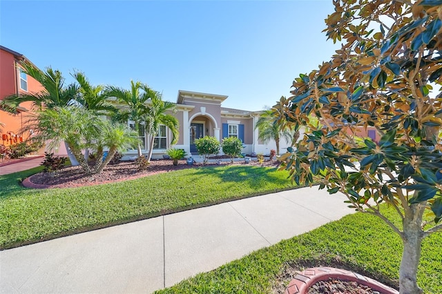 13230 Fawn Lily Dr, Riverview, FL 33579 - view of front of property featuring a front yard and stucco siding
