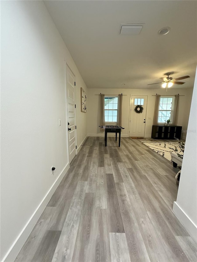 3208 Deleuil Ave, Tampa, FL 33610 - hallway featuring light wood finished floors, healthy amount of natural light, and baseboards