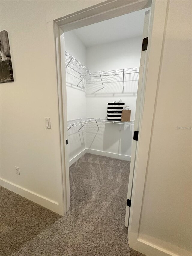 3208 Deleuil Ave, Tampa, FL 33610 - walk in closet with carpet
