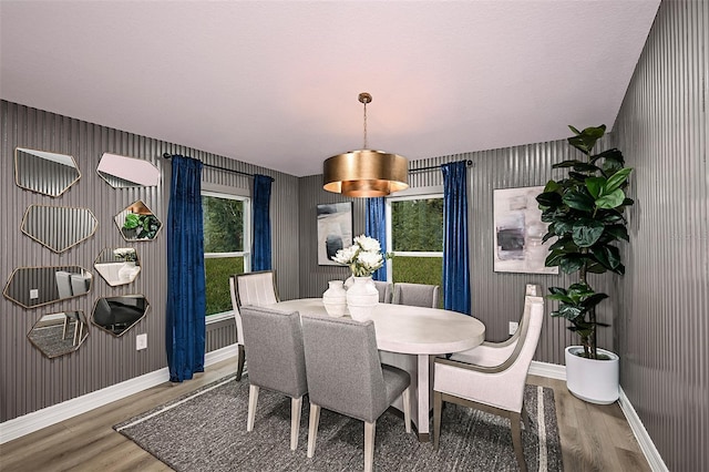 dining area featuring plenty of natural light and hardwood / wood-style floors