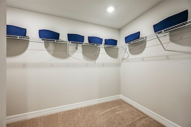 spacious closet with carpet flooring