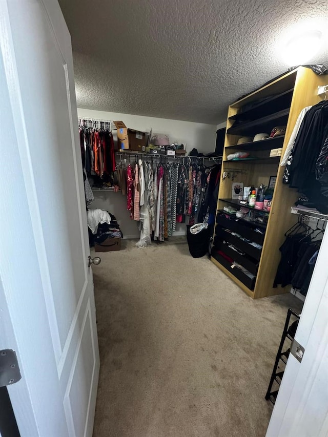 spacious closet with carpet flooring