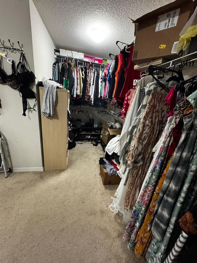 spacious closet featuring carpet