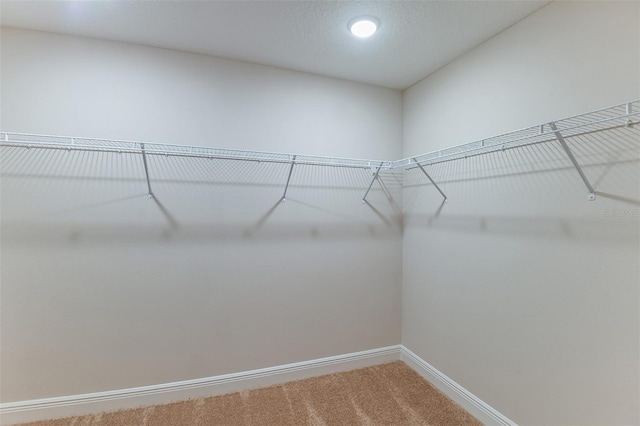 walk in closet featuring carpet