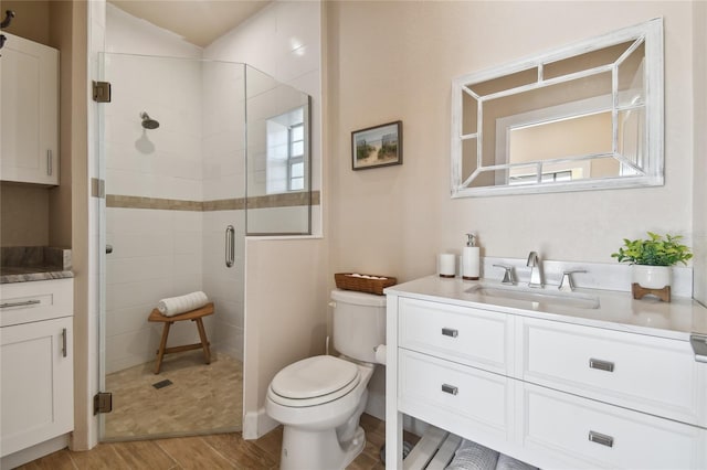 bathroom featuring vanity, toilet, a shower with shower door, and a wealth of natural light