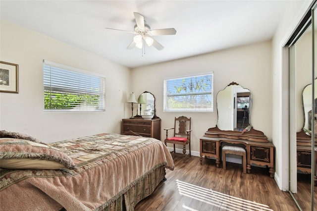 bedroom featuring ceiling fan, a closet, dark wood-type flooring, and multiple windows