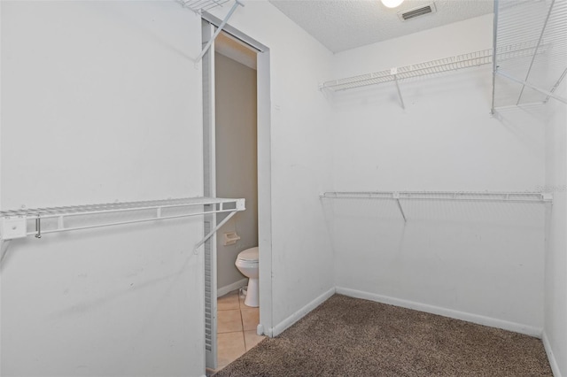 walk in closet featuring carpet floors